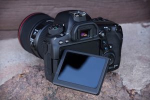 6dii_blog2